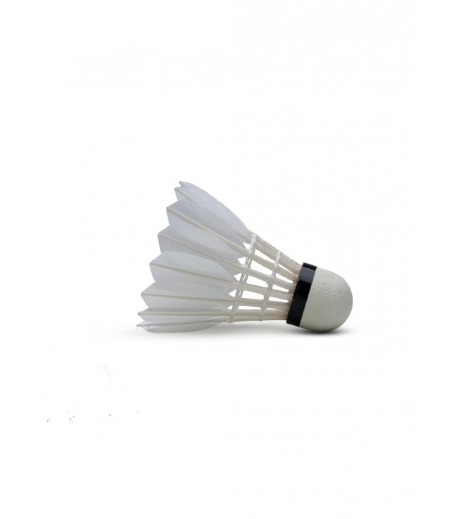 SHUTTLECOCK